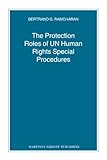 The protection roles of UN human rights special procedures