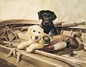 Kitchen Refrigerator Magnet Duck Hunting Lab Puppy Dog #M923