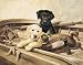 TIN SIGN NOSTALGIC ~ LABRADOR RETRIEVERS DUCK DECOYS * ALMOST READY *