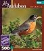 Buffalo Games Audubon: Robin