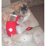 Joybies Festive Christmas Piddle Pants(tm) for Medium Female Dog (Measuring 15-17 From Collar to Base of Tail)