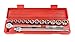 TEKTON 11651 1/2-Inch Drive Pro Socket Set, SAE, 17-Piece