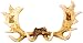 Moose Coat Hanger by Wildlife Creations