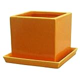 インテリアポット タリーズ キューブ イエロー 12cm 皿付 穴有 ／ 植木鉢