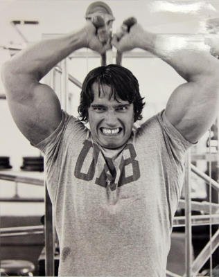(16x20) Arnold Schwarzenegger Working Out Movie Poster Print