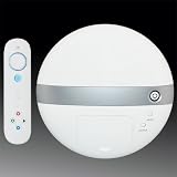2 in 1 iPod Audio/Video Docking and TV Game Console–WRDAIPG01