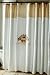Rosefan Shower Curtain
