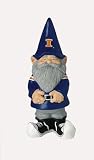University of Illinois Garden Gnome