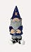 University of Illinois Garden Gnome [Kitchen]