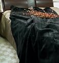 Kuscheldecke WOHN PLAID TAGESDECKE Webpelz NERZ, 150x200 schwarz
