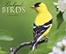 Books : Backyard Birds 2009 Calendar