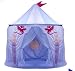 Blue Dragon Castle Play Tent