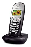 Siemens Gigaset C45 colour Mobilteil incl. Ladeschale, schwarz - 