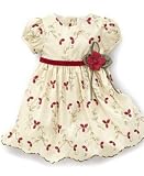 Sweet Heart Rose Baby Girl Embroidered Dress
