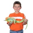 Ginormous Grow Lizard by Toysmith