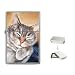 Limited Edition Violano Flip-Top Lighter Tabby Happy Cat