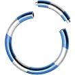 16 Gauge 5/16 Blue Silver Anodized Titanium Segment Ring