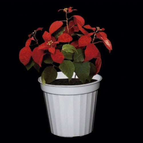 Plastic Decorative Pots #3 White, 4.72 Inch, 12 Pack