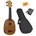 Mahalo U-320P Deluxe Soprano Pineapple Ukulele Bundle with Gig Bag, Tuner, and Polishing Cloth