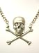 Rocker Jewelry Metal Jolly Roger Skull Crossbones Necklace Crystal Eyes