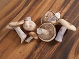 Pile of Fresh Mushrooms on Wooden Cutting Board Stretched Canvas Poster Print, 18x24