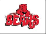 Bears Mousepad