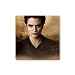 Magnet Square of Twilight Edward Cullen (Robert Pattinson) from New Moon