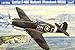 1/32 �J�[�`�X P-40B �E�H�[�z�[�N