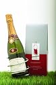 SteadySticks Wine Bottle Holder By Tovolo