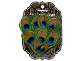 Simplicity Headband Decor Feather Peacock (3 Pack)