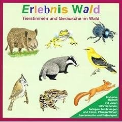 Erlebnis Wald. CD: Tierstimmen und Ger�usche im Wald