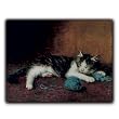 Contentment - Gift Enclosure Cards (set of 12)
