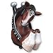 Clydesdale Draft Horse Coat Hook