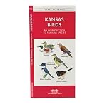 Kansas Birds book cover