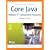 Core Java, Vol. 2: Advanced Features, 8th Edition