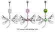 SILVER PAVE DRAGONFLY BELLY RING BNADFL22CL- CLEAR
