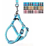 HOW'S YOUR DOG Oxford Easy Step-in British Nova PlaidDog Harness & Leash Set - Blue / Medium (16-24)