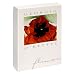 Pomegranate Georgia O'Keeffe (Flowers) Standard Boxed Note Card Set (Pack of 2)