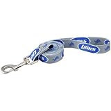 NFL Detroit Lions 6' Silver Large Pet Leash (Large)