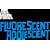 FLUORESCENT ADOLESCENT