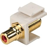 Single F To RCA Gold Plated Keystone Insert-T07996