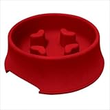 Slow 'Em Down Pet Bowl