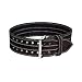 Dynamic Pro Fit 4" Suede Powerlifting Belt (Large)