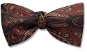 Brisbane - paisley bow tie