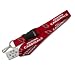 Arizona Cardinals Lanyard Keychain Id Holder Ticket