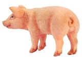 Schleich Piglet Standing