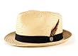 Brixton Men's Castor Straw Fedora Hat