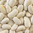 White Runner Beans (Emergo Beans) by ChefShop