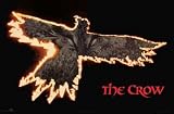 The Crow Burning Bird Brandon Lee 23x35 Poster