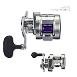 ダイワ(Daiwa) リョウガ ベイジギング C2020PE-HL 00613603